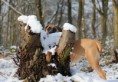 /album/keistad-amy/wandelen-264-jpg/